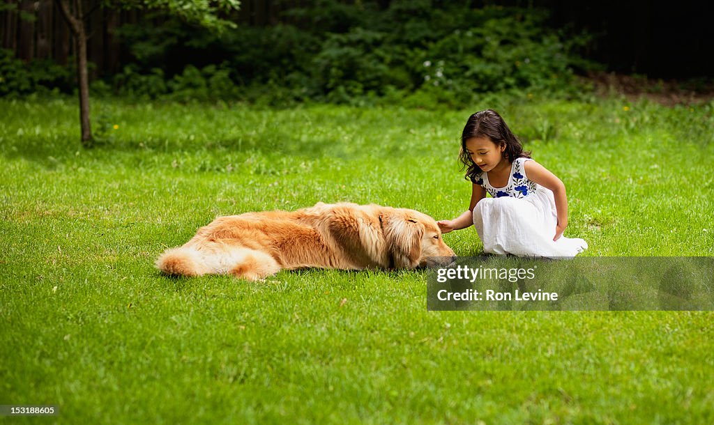 Young girl patting a Golden Retriever