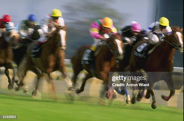 Pack Leader Racing 3,080 Leader Of The Pack Race Stock Photos, High-Res Pictures, and ...