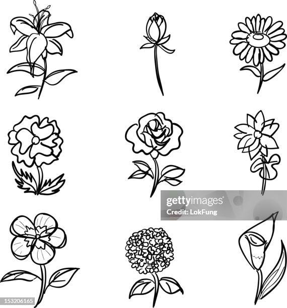 ilustraciones, imágenes clip art, dibujos animados e iconos de stock de colección de flores en blanco y negro - carnation flower