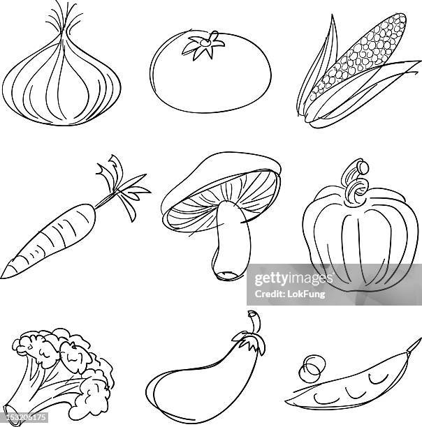 vegetable collection in black and white - root vegetables white background stock illustrations