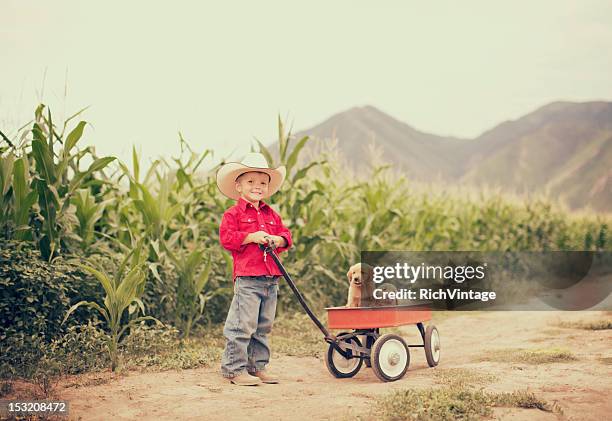 on the farm - toy wagon stock pictures, royalty-free photos & images