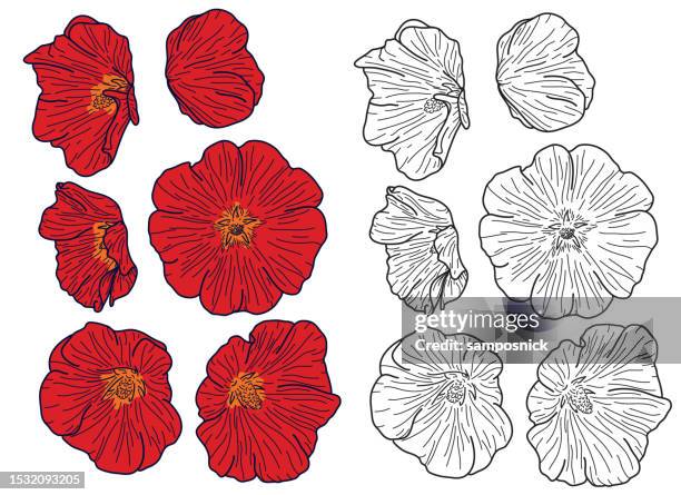 großes stockrosen-blumenset - stockrose stock-grafiken, -clipart, -cartoons und -symbole