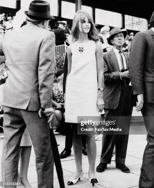 English model, Jean Shrimpton, attends Derby Day at Flemington Racecourse in Melbourne, October 30 1965. .