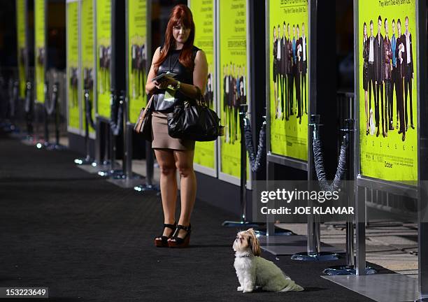 Bonnie the Dog arrives at the premiere of CBS Films' 'Seven Psychopaths' at Mann Bruin Theatre on October 1, 2012 in Westwood, California.AFP...