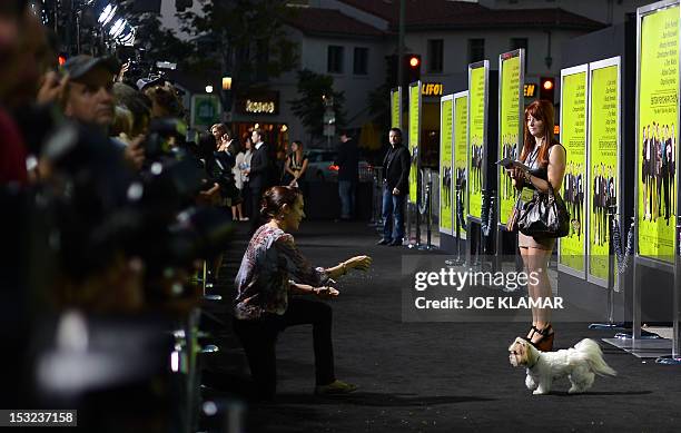 Bonnie the Dog arrives at the premiere of CBS Films' 'Seven Psychopaths' at Mann Bruin Theatre on October 1, 2012 in Westwood, California.AFP...