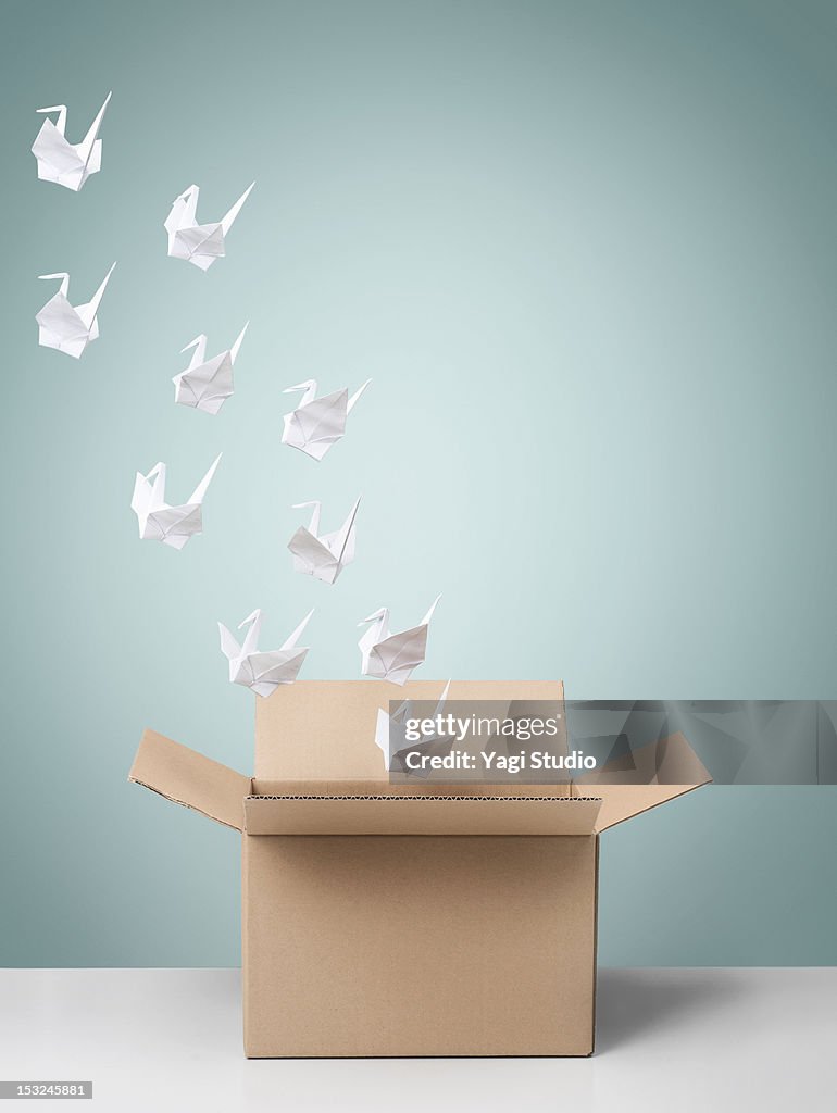Group of origami cranes flying away from cardboard