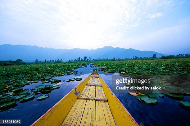 shikara ride at srinagar - shikara stock-fotos und bilder