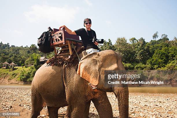 a photographer crossing the river on elephants. - white elephant stock-fotos und bilder