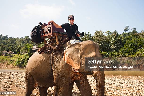 a photographer crossing the river on elephants. - riding elephant stock pictures, royalty-free photos & images