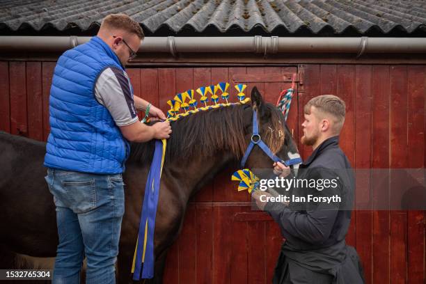 The mane of a horse is decorated ahead of competition during the first day of the 164th Great Yorkshire Show on July 11, 2023 in Harrogate, England....