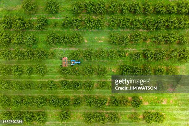 An aerial view shows a farmer driving a tractor through the barren peach tree orchard at the Gregg Farms in Concord, Georgia, on July 12 after Pike...