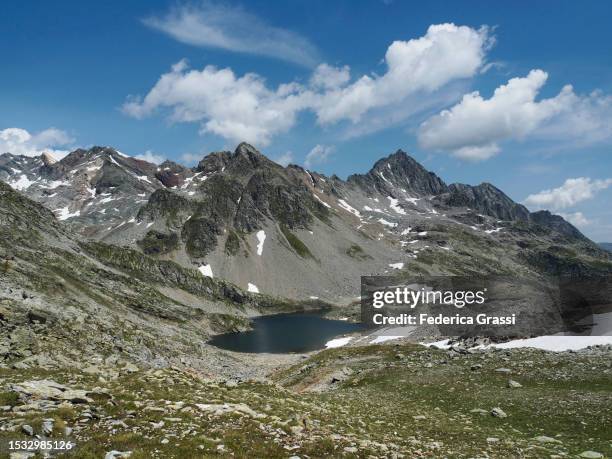 view of lago ghiacciato in the rhaetian alps - ghiacciato fotografías e imágenes de stock