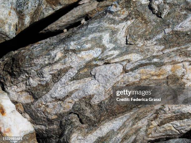 Strange Patterns On Rocks 1,053 Nature Pattern Border Stock Photos, High-Res Pictures, and Images ...