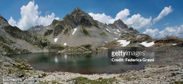 panorama view of lago ghiacciato in the rhaetian alps - ghiacciato fotografías e imágenes de stock