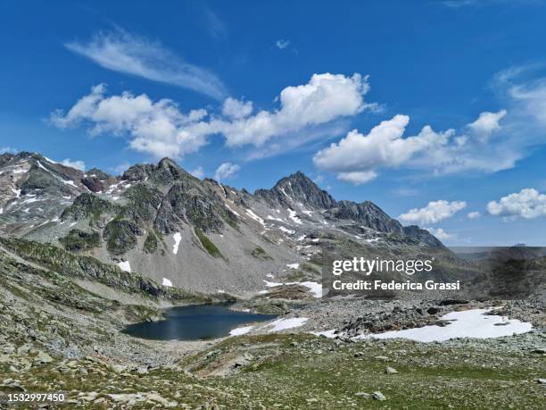 view of lago ghiacciato in the rhaetian alps - ghiacciato stock-fotos und bilder