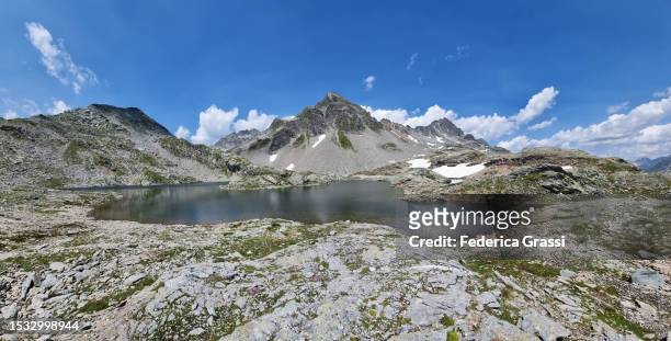 panorama view of lago ghiacciato in the rhaetian alps - ghiacciato fotografías e imágenes de stock