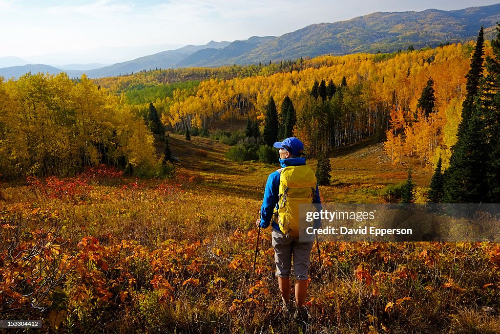 Woman hiking in fall season, Colorado