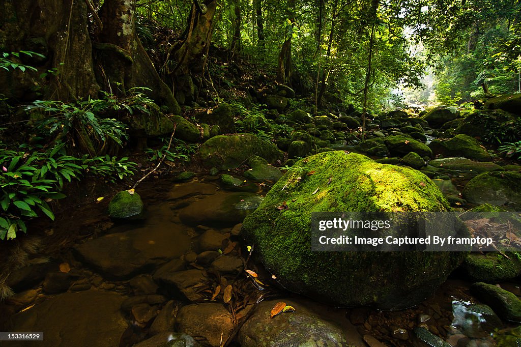 Green Rock