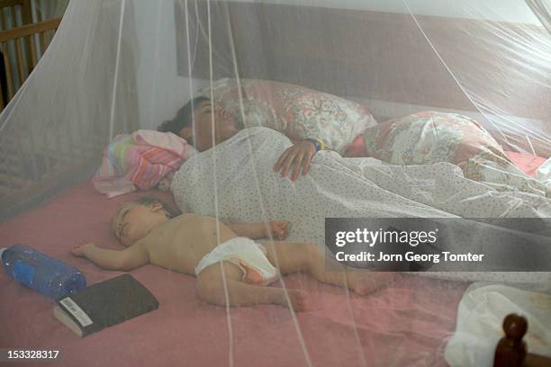 mother and child sleeping behind mosquito net - mosquito netting stock pictures, royalty-free photos & images