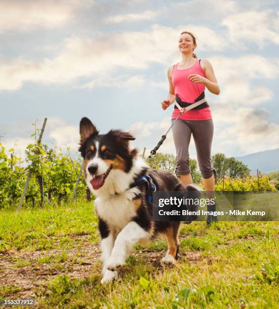 caucasian woman running with dog - dog training stock-fotos und bilder