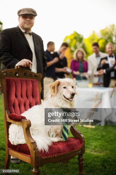 pampered dog sitting on ornate chair at lawn party - dogs life royals and their dogs fotografías e imágenes de stock