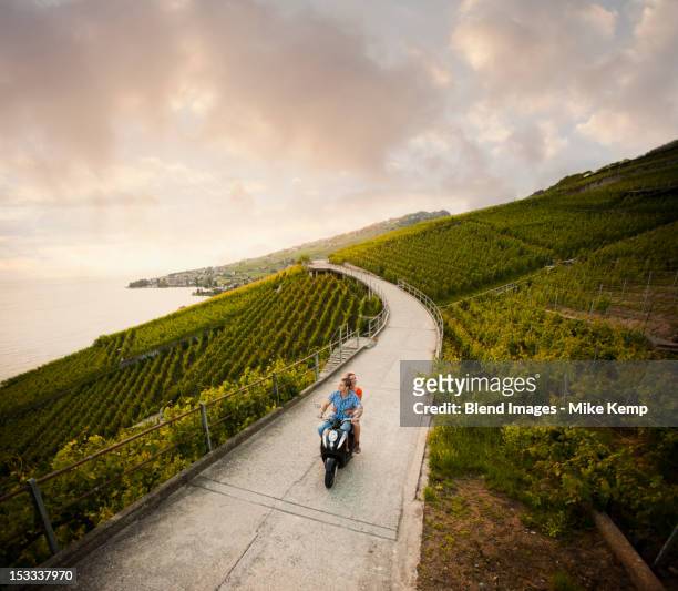 couple riding scooter in vineyard - couple scooter stock pictures, royalty-free photos & images