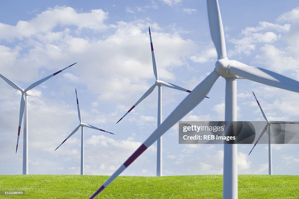 Wind farm in field