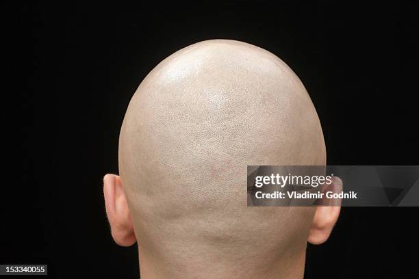 rear view of the shaved head of a man - parte posterior de la cabeza fotografías e imágenes de stock