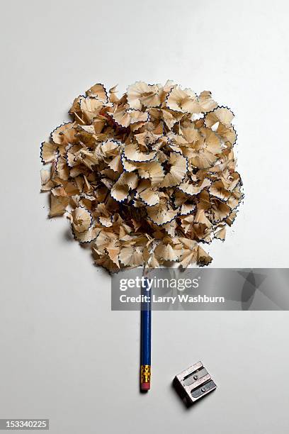 a pencil and pencil shavings made to look like a tree - anspitzer stock-fotos und bilder