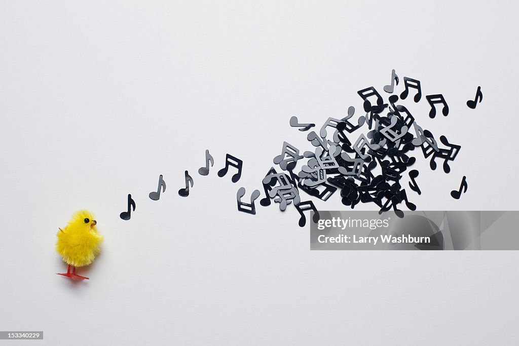 A toy Easter chick next to a group of musical notes