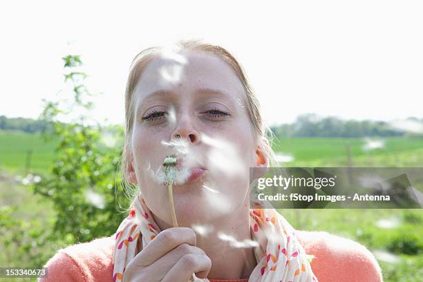 a woman blowing on a dandelion, close-up - floral fluff stock pictures, royalty-free photos & images