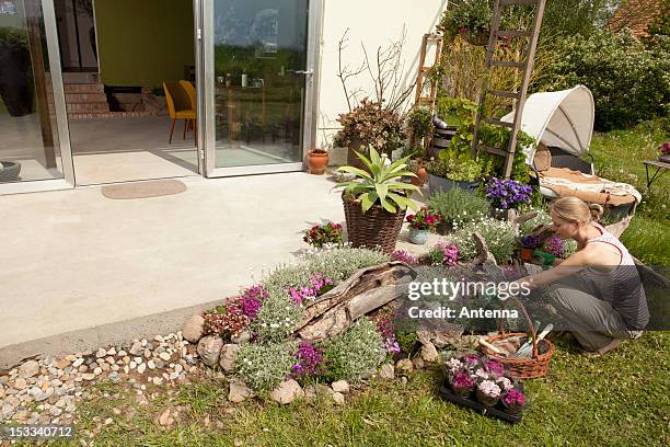 a woman gardening in her back yard, high angle view - person holding flowers with high energy stock-fotos und bilder