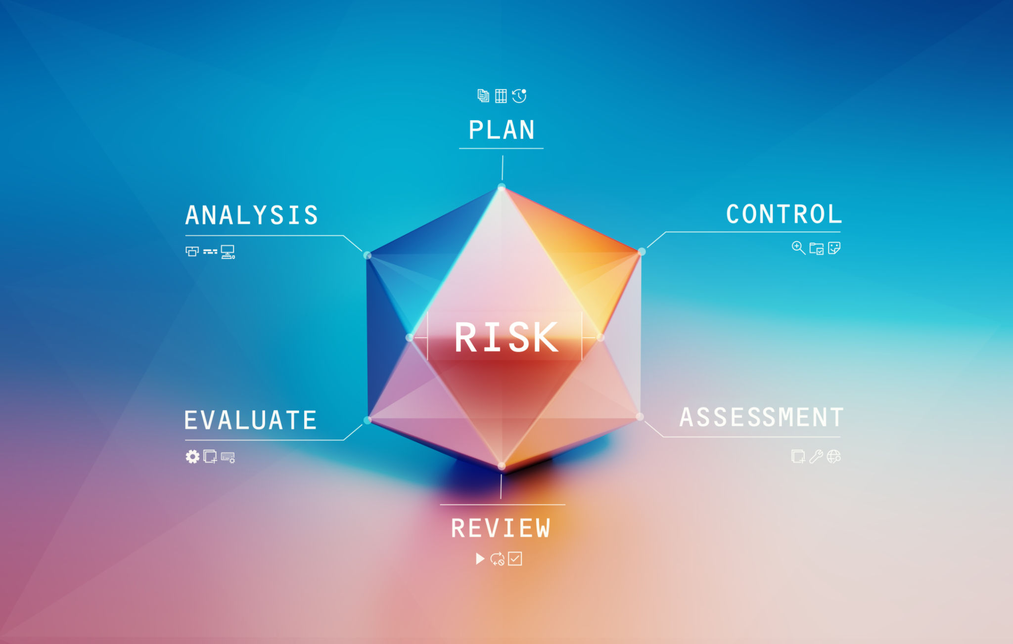 financial risk