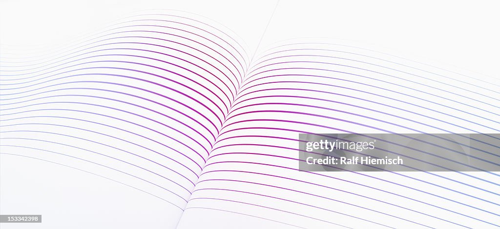 A Fold In Colored Lines Against A White Background High-Res Vector ...