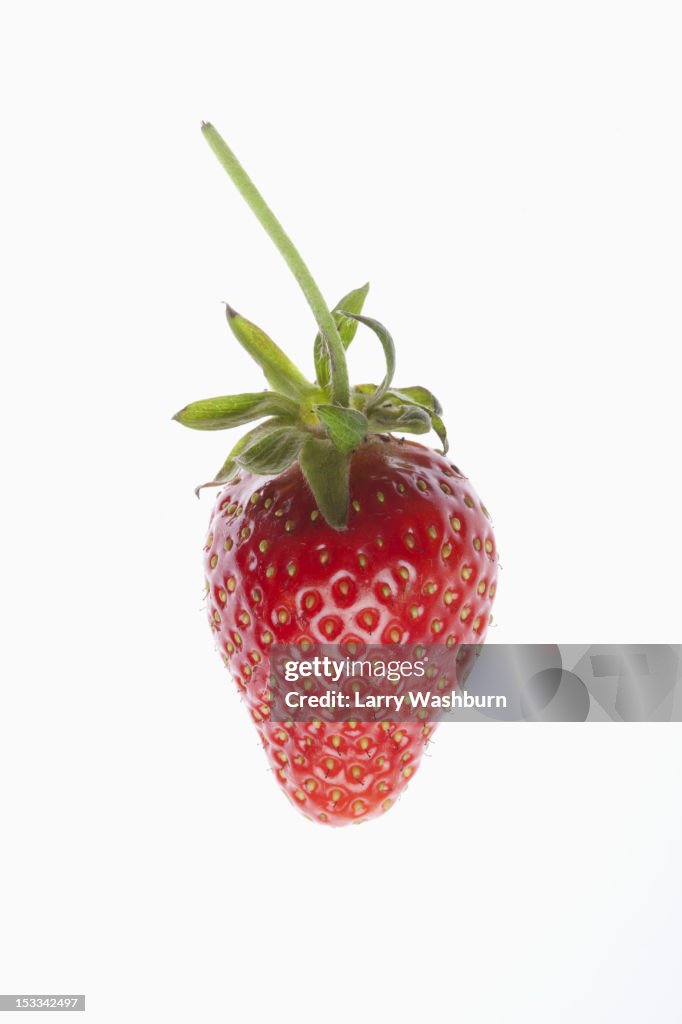 A single strawberry on a white background