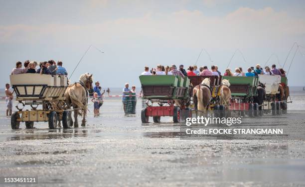 Wadden sea coaches start their journey towards the island of Neuwerk at the Elbe estuary in Cuxhaven, northern Germany, on July 15, 2023 as...