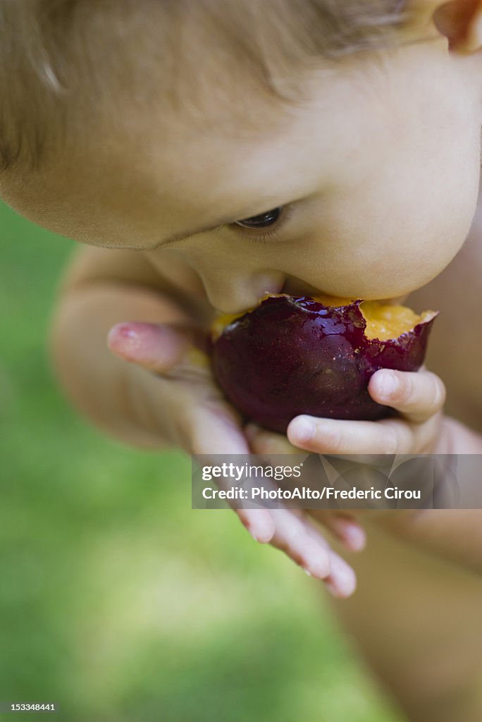 Baby girl eating plum, cropped