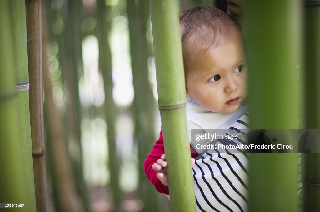 Baby girl in bamboo grove