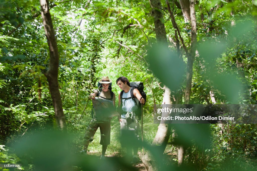 Hikers looking at map in forest