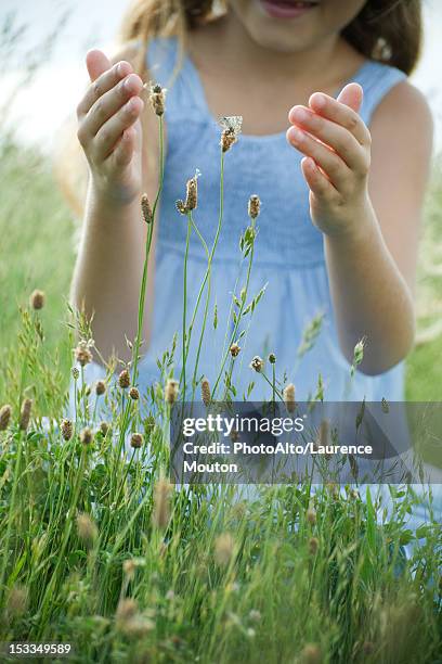 butterfly on wildflower, girl with cupped hands attempting to catch - catching butterflies stock pictures, royalty-free photos & images