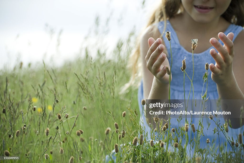 Butterfly on wildflower, girl in background attempting to catch