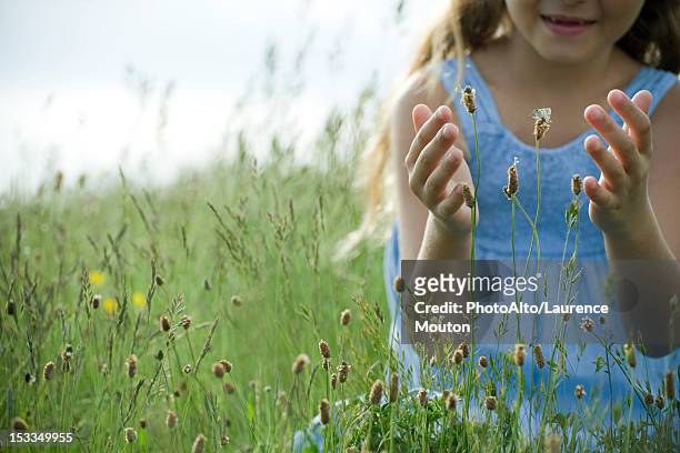 butterfly on wildflower, girl in background attempting to catch - butterfly hand imagens e fotografias de stock