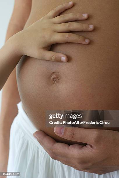 child's hand on woman's pregnant belly, cropped - belly button stock pictures, royalty-free photos & images