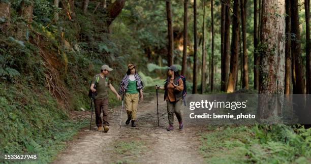 Phytoncide Phytoncide Photos and Premium High Res Pictures - Getty Images