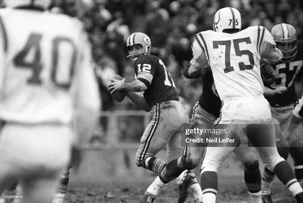 Green Bay Packers vs Baltimore Colts, 1965 NFL Divisonal Playoffs