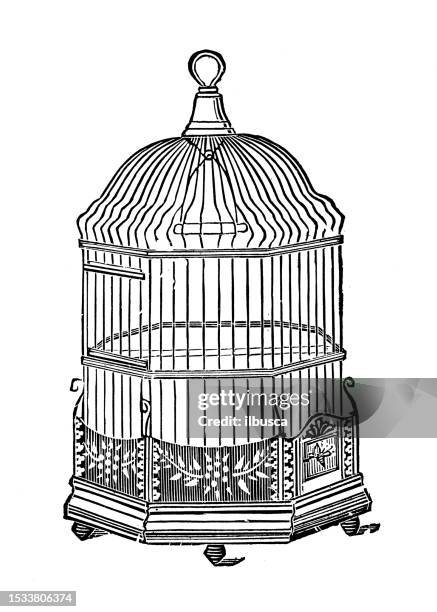 stockillustraties, clipart, cartoons en iconen met antique image from british magazine: bird cage - birdcage