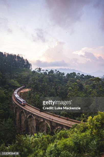 train on nine arches bridge - sri lanka train stock pictures, royalty-free photos & images