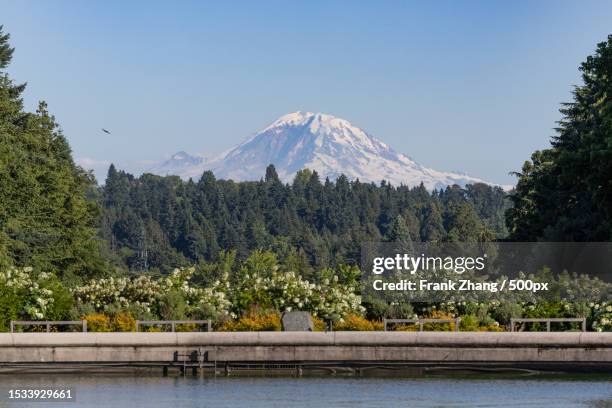 scenic view of lake by trees against clear sky,seattle,washington,united states,usa - seattle winter stock pictures, royalty-free photos & images