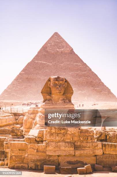 straight on sphinx of giza - pharaoh stock pictures, royalty-free photos & images