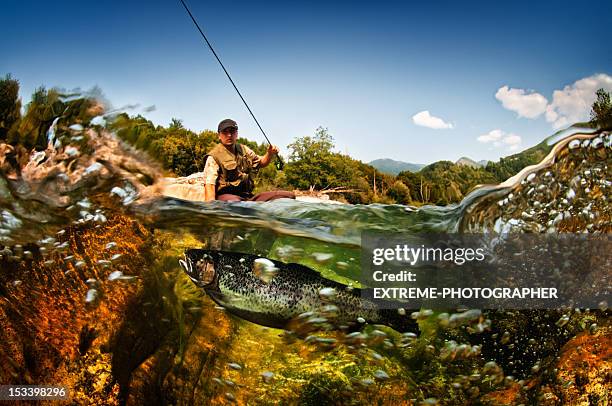 pesce d'acqua dolce - fly fishing foto e immagini stock